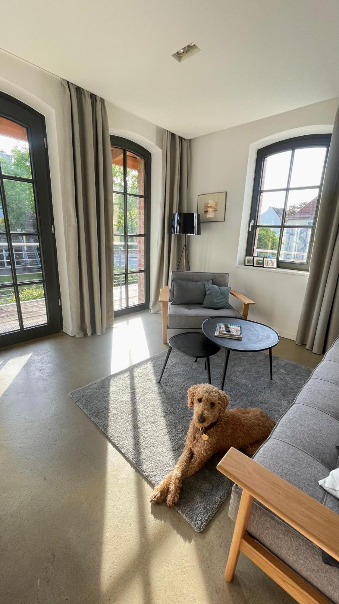 Sonniges Hinterhaus Og Innenstadt Osnabrück Extérieur photo